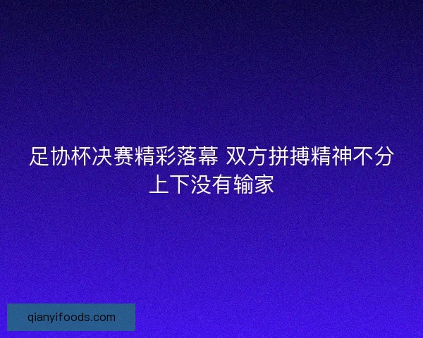 足协杯决赛精彩落幕 双方拼搏精神不分上下没有输家