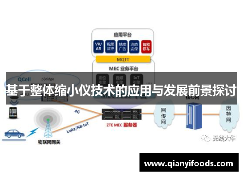 基于整体缩小仪技术的应用与发展前景探讨